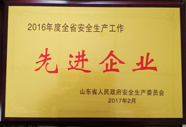  公司荣获山东省2016年度安全生产工作先进企业