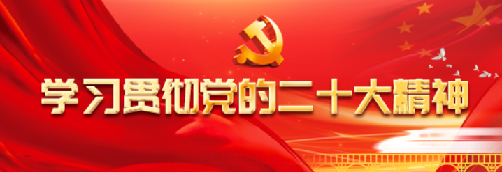 学习贯彻党的二十大精神